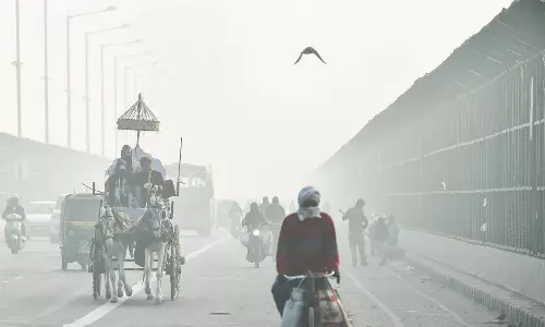 ഉത്തരേന്ത്യയില്‍ ശൈത്യം പിടി മുറുക്കുന്നു