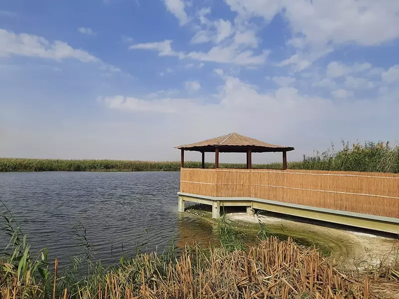 നാലു വര്ഷത്തെ ഒരുക്കങ്ങള്ക്ക് ശേഷം ജഹ്റ നേച്ചര് റിസര്വ് പൊതുജനങ്ങള്ക്കായി തുറന്ന്കൊടുക്കുന്നു നാലു വര്ഷത്തെ ഒരുക്കങ്ങള്ക്ക് ശേഷം ജഹ്റ നേച്ചര് റിസര്വ് പൊതുജനങ്ങള്ക്കായി തുറന്ന്കൊടുക്കുന്നു