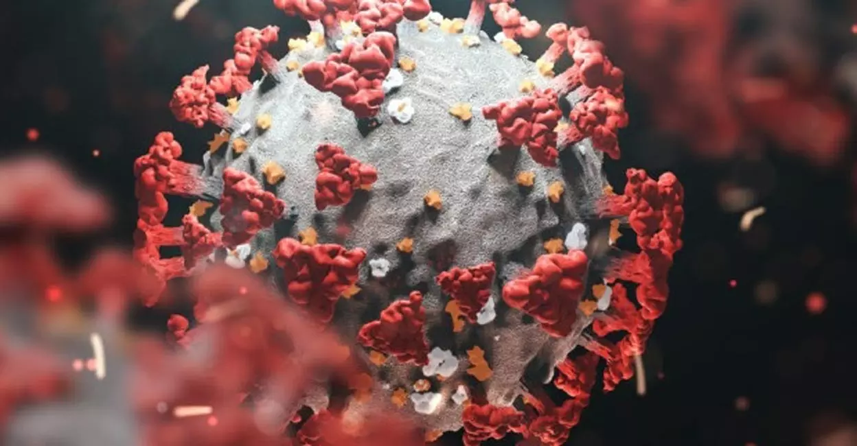 സംസ്ഥാനത്ത് 44 പേര്‍ക്ക് കൂടി ഒമിക്രോണ്‍