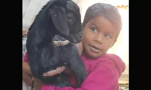 ഇടുക്കിയിൽ കാണാതായ മൂന്ന് വയസ്സുകാരന്റെ മൃതദേഹം സമീപത്തെ കുളത്തിൽ