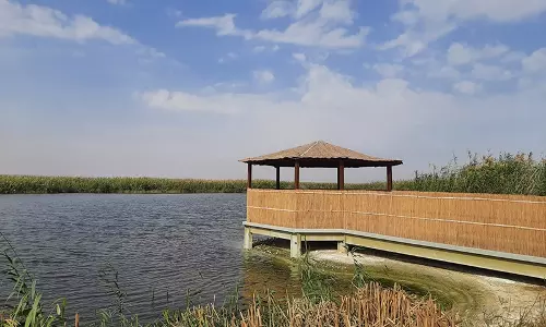 നാലു വര്‍ഷത്തെ ഒരുക്കങ്ങള്‍ക്ക് ശേഷം ജഹ്റ നേച്ചര്‍ റിസര്‍വ് പൊതുജനങ്ങള്‍ക്കായി തുറന്ന്‌കൊടുക്കുന്നു