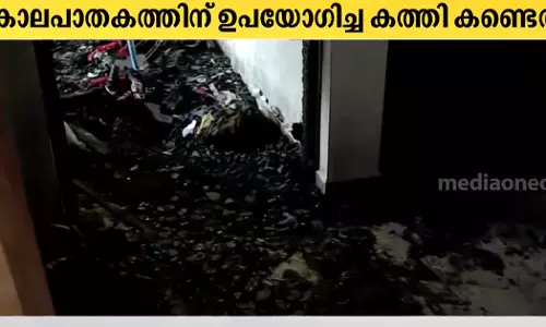 വിസ്മയയെ സഹോദരി ജിത്തു കത്തിച്ചത് ജീവനോടെ, വഴക്കിനു കാരണം മാതാപിതാക്കളുടെ സ്‌നേഹക്കൂടുതൽ