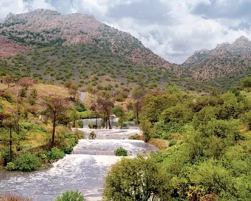 സൗദിയില്‍ ദേശീയോദ്യാന പരിപാടിക്ക് തുടക്കം കുറിച്ചു