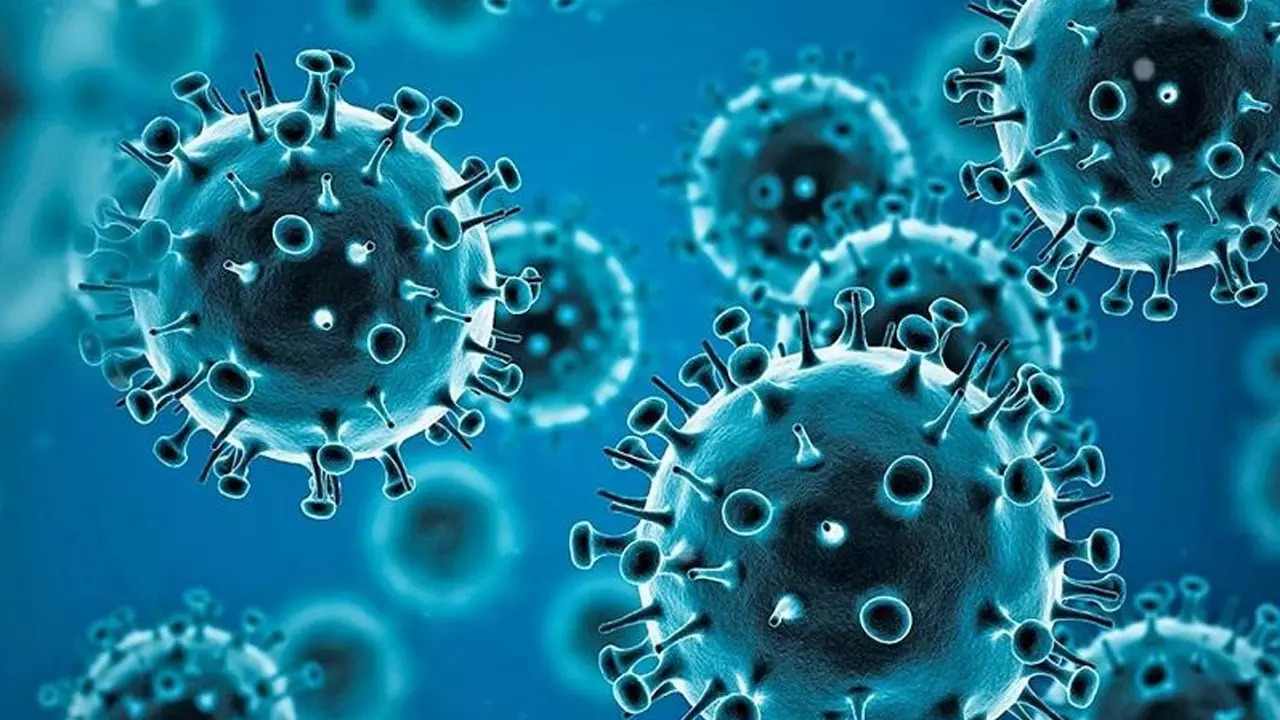 സംസ്ഥാനത്ത് ഇന്ന് 4801 പേര്ക്ക് കോവിഡ്; 29 മരണം സംസ്ഥാനത്ത് ഇന്ന് 4801 പേര്ക്ക് കോവിഡ്; 29 മരണം