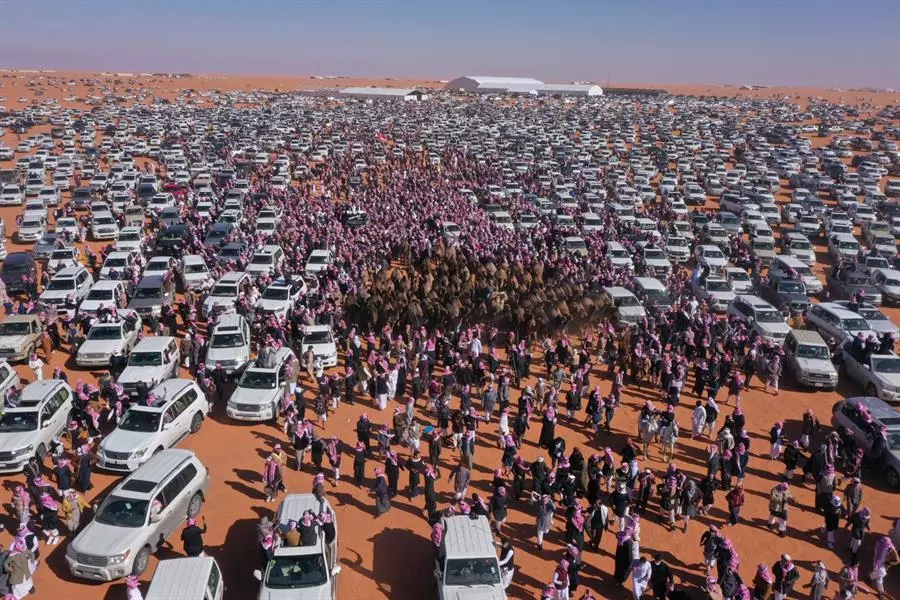 കിങ് അബ്ദുല് അസീസ് ഒട്ടകോത്സവത്തിലേക്ക് ഇരച്ചെത്തി വന്ജനാവലി കിങ് അബ്ദുല് അസീസ് ഒട്ടകോത്സവത്തിലേക്ക് ഇരച്ചെത്തി വന്ജനാവലി