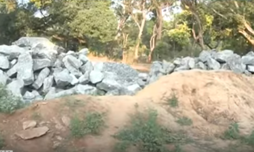 കുന്നംകുളം താലൂക്കിന്‍റെ സ്ഥലത്ത് ചുറ്റുമതിൽ നിർമ്മിക്കുന്നതിന്‍റെ പേരിൽ 25 വൻ വൃക്ഷങ്ങൾ മുറിച്ച് മാറ്റാൻ നീക്കം