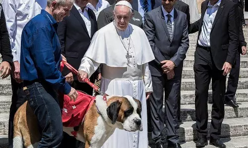 കുട്ടികൾക്കു പകരം പട്ടിയെയും പൂച്ചയെയും വളര്‍ത്തുന്നത് സ്വാർത്ഥത-വിമർശനവുമായി മാർപാപ്പ