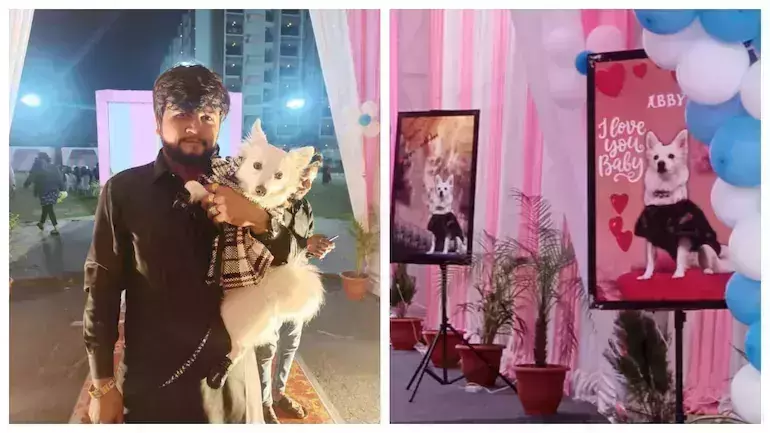 അഹമ്മദാബാദില് വളര്ത്തുനായയുടെ ജന്മദിനത്തിന് ഏഴു ലക്ഷം രൂപ ചെലവഴിച്ച് ആഡംബര പാര്ട്ടി അഹമ്മദാബാദില് വളര്ത്തുനായയുടെ ജന്മദിനത്തിന് ഏഴു ലക്ഷം രൂപ ചെലവഴിച്ച് ആഡംബര പാര്ട്ടി