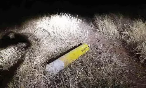 സിൽവർ ലൈൻ സർവേ കല്ല് പിഴുതുമാറ്റിയ ഫോട്ടോ ഫേസ്ബുക്കിൽ പങ്കുവെച്ചയാൾക്കെതിരെ കേസ് സിൽവർ ലൈൻ സർവേ കല്ല് പിഴുതുമാറ്റിയ ഫോട്ടോ ഫേസ്ബുക്കിൽ പങ്കുവെച്ചയാൾക്കെതിരെ കേസ്