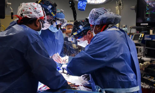 പന്നിയുടെ ഹൃദയം മനുഷ്യന് മാറ്റിവെച്ചു; ശസ്ത്രക്രിയ വിജയം