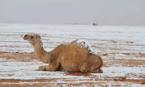 സൗദിയില്‍ ഈ വര്‍ഷത്തെ ഏറ്റവും ശക്തമായ തണുപ്പ് ഈ ആഴ്ചയെന്ന് മുന്നറിയിപ്പ്