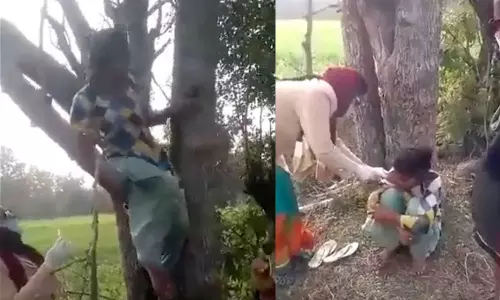 വാക്‌സിനെടുക്കാൻ ആരോഗ്യ പ്രവർത്തകരെത്തി, മരത്തിൽ വലിഞ്ഞു കയറി പതിനെട്ടുകാരി