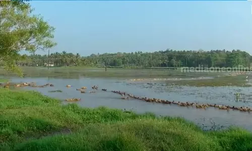 കൊല്ലത്ത്  കെ റെയിലിന് സ്റ്റേഷൻ സ്ഥാപിക്കാൻ കണ്ടെത്തിയത് പാടശേഖരം