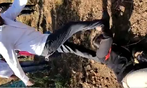 ഗർഭിണിയായ വനംവകുപ്പ് ഉദ്യോഗസ്ഥയെ ക്രൂരമായി മർദിച്ച് ദമ്പതികൾ-വീഡിയോ