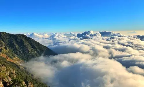 അസീറിലെ അല്‍ സൗദ പ്രദേശങ്ങളില്‍ അലങ്കാരം തീര്‍ത്ത് കനത്ത മൂടല്‍മഞ്ഞ്