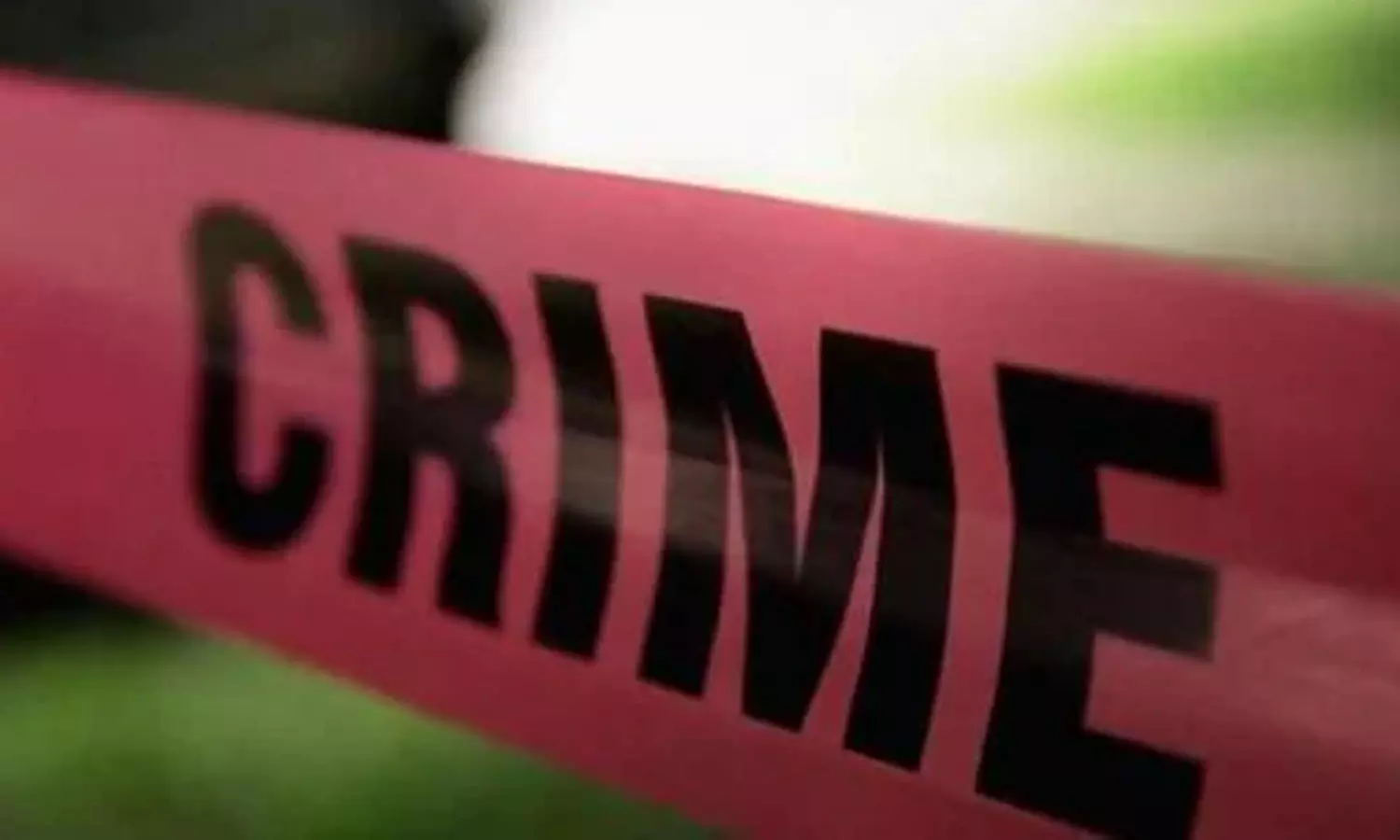 കോട്ടയത്ത് മകന്റെ മർദനത്തിന് ഇരയായ അമ്മ മരിച്ചു