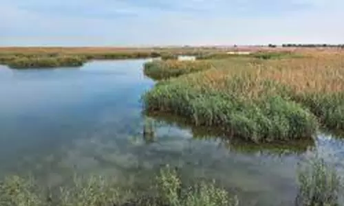 കുവൈത്തിലെ ജഹ്‌റ റിസർവിൽ കുട്ടികൾക്ക് സൗജന്യ പ്രവേശനം