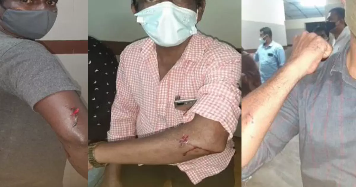 കോഴിക്കോട് മുക്കത്ത് തെരുവ് നായയുടെ കടിയേറ്റ് ആറ് പേർക്ക് പരിക്ക്