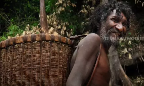 മലപ്പുറത്ത് ആദിവാസി വൃദ്ധനെ കാട്ടാന ചവിട്ടിക്കൊന്നു