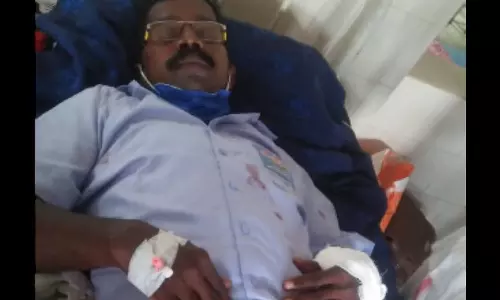 കാട്ടുപന്നിയുടെ ആക്രമണത്തിൽ കെഎസ്ആര്‍ടിസി ജീവനക്കാരന് പരിക്ക്