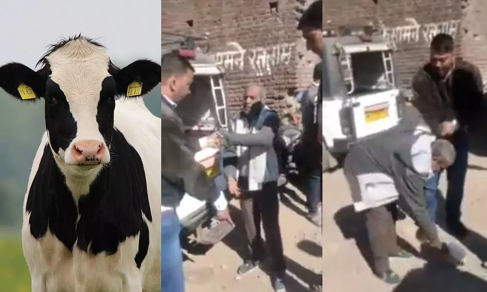 പശുവിന്‍റെ മുന്നില്‍ നിന്ന് മൂത്രം ഒഴിച്ചതിന് മധ്യവയസ്കന് ക്രൂര മര്‍ദനം