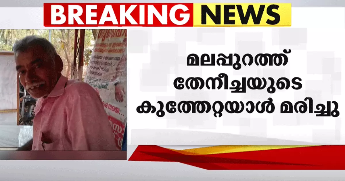 മലപ്പുറത്ത് തേനീച്ചയുടെ കുത്തേറ്റയാൾ മരിച്ചു