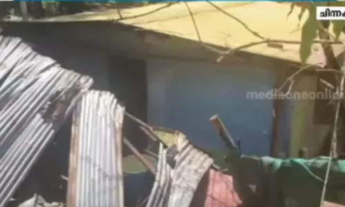 ചിന്നക്കനാലിൽ കാട്ടാനശല്യം രൂക്ഷം; വീടുകളും കൃഷിയിടങ്ങളും തകർത്തു