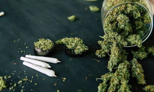 തൃശൂരില്‍ വന്‍ കഞ്ചാവ് വേട്ട; 460 കിലോ കഞ്ചാവുമായി മൂന്ന് പേർ പിടിയിൽ