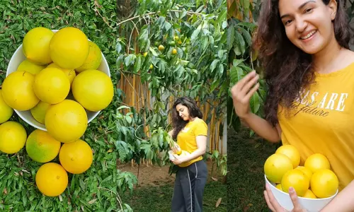 ഹണി റോസ് കൂടയിലാക്കുന്ന അബിയുപ്പഴം ചില്ലറക്കാരിയല്ല, ആമസോണ്‍ സുന്ദരിയുടെ വിശേഷങ്ങള്‍...