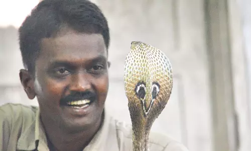 വാവ സുരേഷിന് സൗജന്യ ചികിത്സ നല്‍കും: മന്ത്രി വീണാ ജോര്‍ജ്