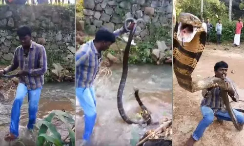 വാവ സുരേഷിന്‍റെ ആരോഗ്യനിലയില്‍ നേരിയ പുരോഗതി