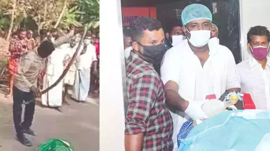 വാവ സുരേഷിന്‍റെ ആരോഗ്യനിലയിൽ കൂടുതൽ പുരോഗതി; വെന്‍റിലേറ്റര്‍ മാറ്റുന്ന കാര്യത്തില്‍ ഇന്ന് തീരുമാനം