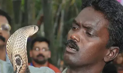 വാവ സുരേഷിന്റെ ആരോഗ്യനില മെച്ചപ്പെട്ടു; വെന്റിലേറ്ററിൽ നിന്ന് മാറ്റിയേക്കും വാവ സുരേഷിന്റെ ആരോഗ്യനില മെച്ചപ്പെട്ടു; വെന്റിലേറ്ററിൽ നിന്ന് മാറ്റിയേക്കും