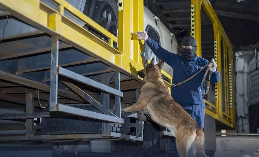 1.4 ദശലക്ഷത്തിലധികം കാപ്റ്റഗണ് ഗുളികകള് കടത്താനുള്ള ശ്രമം സൗദി കസ്റ്റംസ് പരാജയപ്പെടുത്തി 1.4 ദശലക്ഷത്തിലധികം കാപ്റ്റഗണ് ഗുളികകള് കടത്താനുള്ള ശ്രമം സൗദി കസ്റ്റംസ് പരാജയപ്പെടുത്തി