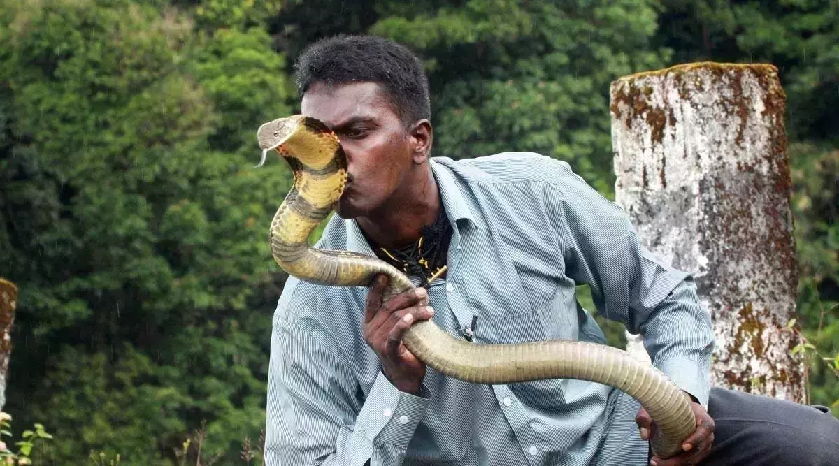 വെന്‍റിലേറ്റർ മാറ്റിയതിന് ശേഷം വാവ സുരേഷിന്‍റെ ആരോഗ്യ നില മെച്ചപ്പെടുന്നു