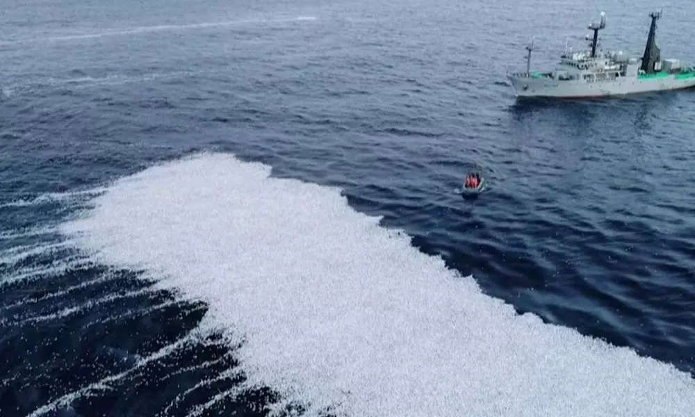 കടലിൽ ഉപേക്ഷിച്ചത് ഒരു ലക്ഷം മീനുകൾ; അന്വേഷണം പ്രഖ്യാപിച്ച് ഫ്രാൻസ്