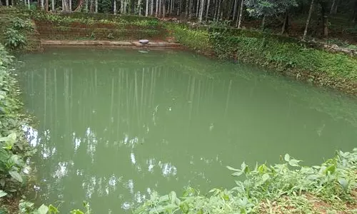 പാലക്കാട് 80 സെന്‍റ് കുളം തരംമാറ്റി; ഭൂമി തരംമാറ്റലിന്‍റെ മറവിൽ കടുത്ത നിയമലംഘനങ്ങൾ നടക്കുന്നതായി ആരോപണം