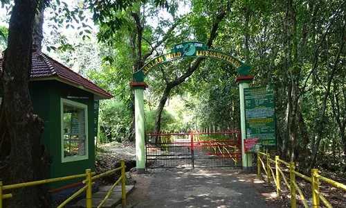 ആറളം ഫാമിൽ 22 കോടി രൂപ ചെലവിട്ട് ആന മതിൽ നിർമിക്കാൻ തീരുമാനം