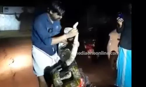 മദ്യലഹരിയിൽ പെരുമ്പാമ്പുമായി റോഡിൽ പ്രദർശനം; യുവാവിനെതിരെ കേസ്