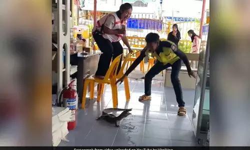 റെസ്റ്റോറന്റിൽ കയറിയപ്പോൾ സ്വീകരിക്കാനെത്തിയത് ഉടുമ്പ്, പിന്നൊന്നും നോക്കിയില്ല  കസേരയിൽ കയറി നിലവിളിച്ചു; വീഡിയോ വൈറൽ