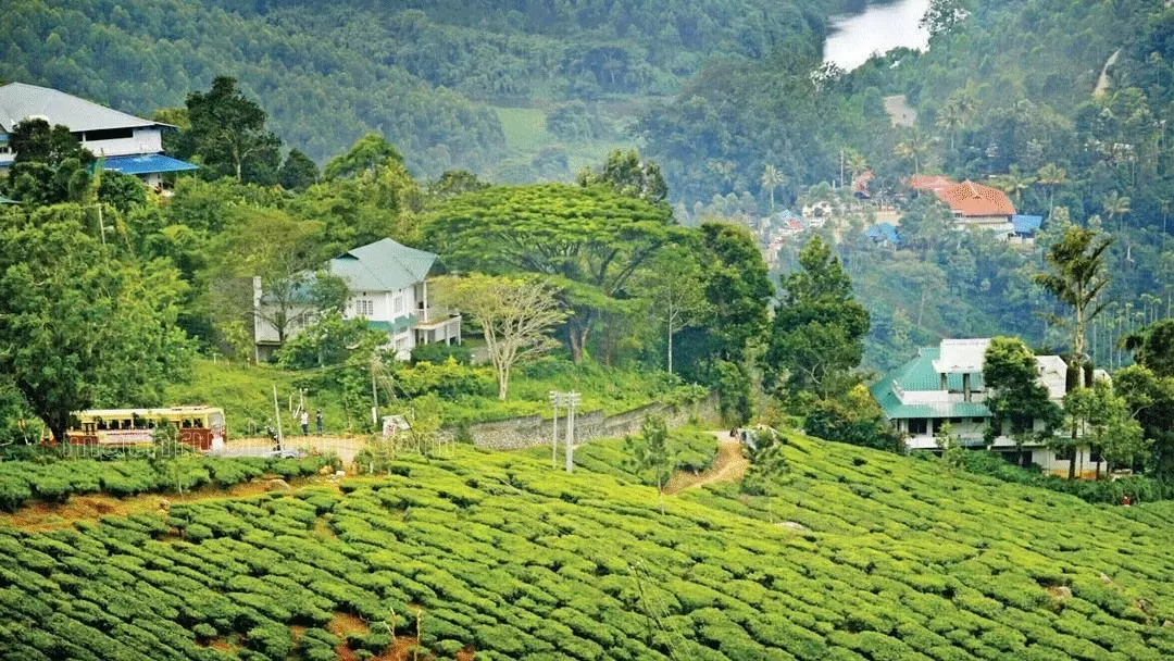 രവീന്ദ്രൻ പട്ടയങ്ങൾ റദ്ദ് ചെയ്യും; ഒന്നരമാസത്തിനകം പുതിയ പട്ടയം