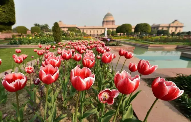 RashtrapatiBhavan, AmritUdyan, mughalgarden RashtrapatiBhavan, AmritUdyan, mughalgarden