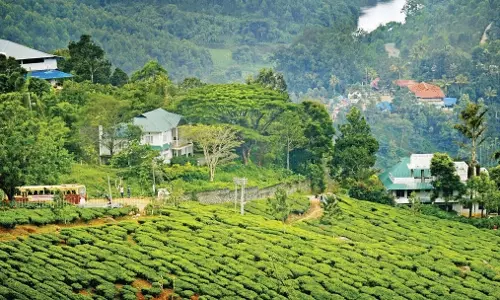 രവീന്ദ്രൻ പട്ടയങ്ങൾ റദ്ദ് ചെയ്യും; ഒന്നരമാസത്തിനകം പുതിയ പട്ടയം