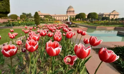 RashtrapatiBhavan, AmritUdyan, mughalgarden