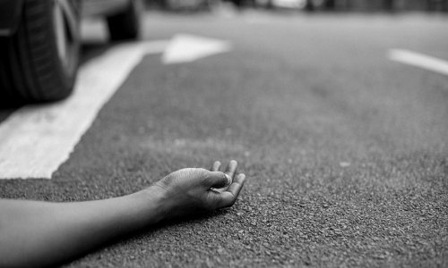 പാലക്കാട് കുഴൽമന്ദം വാഹനാപകടം പ്രത്യേക സംഘം അന്വേഷിക്കും