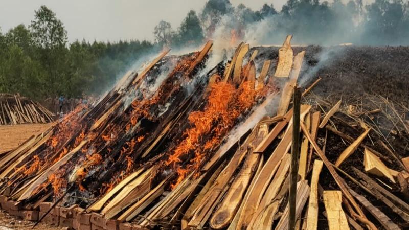 500 കോടി വില വരുന്ന കഞ്ചാവ് കൂട്ടിയിട്ട് കത്തിച്ച് ആന്ധ്ര പൊലീസ്