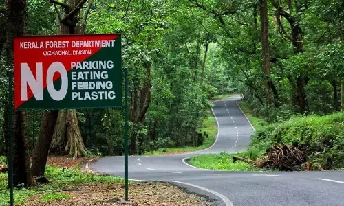 അർധരാത്രിയിൽ വാഹനം തകരാറിലായി വനത്തിൽ കുടുങ്ങിയ കുടുംബത്തിന് സുരക്ഷയൊരുക്കി വനംവകുപ്പ് ഉദ്യോഗസ്ഥർ
