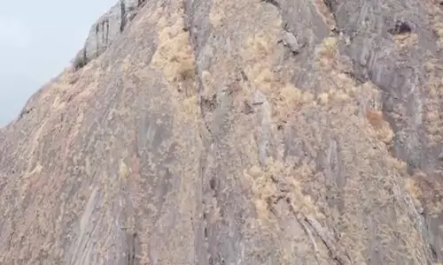 പാലക്കാട് ചെറാട് മല കയറ്റത്തിന് നിയന്ത്രണമേർപ്പെടുത്തി;കടന്നുകയറ്റം തടയാൻ പരിശോധന കർശനമാക്കും പാലക്കാട് ചെറാട് മല കയറ്റത്തിന് നിയന്ത്രണമേർപ്പെടുത്തി;കടന്നുകയറ്റം തടയാൻ പരിശോധന കർശനമാക്കും