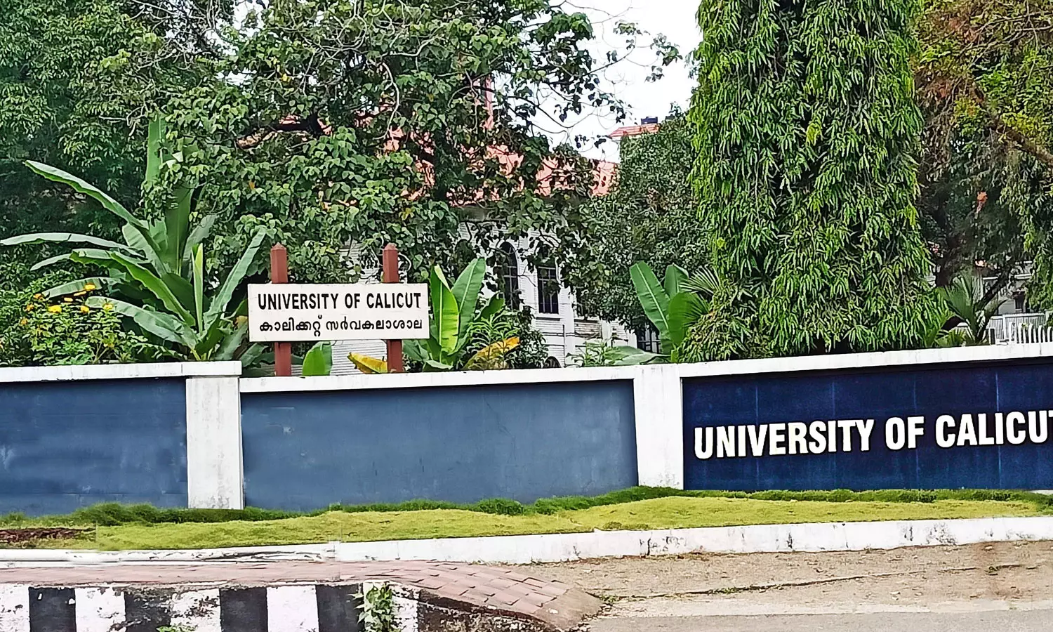 കാലിക്കറ്റ് സർവകലാശാലയിലെ ചെലാൻ തട്ടിപ്പ്; അന്വേഷണം എങ്ങുമെത്തിയില്ല കാലിക്കറ്റ് സർവകലാശാലയിലെ ചെലാൻ തട്ടിപ്പ്; അന്വേഷണം എങ്ങുമെത്തിയില്ല