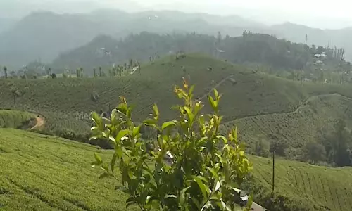 ഹൈഡൽ ടൂറിസത്തിലെ അഴിമതിയാരോപണം ശരി വയ്ക്കുന്നതാണ് വൈദ്യുതി ബോർഡ് ചെയർമാന്റെ വെളിപ്പെടുത്തലെന്ന് കോണ്ഗ്രസ് നേതാവ് ബിജോ മാണി ഹൈഡൽ ടൂറിസത്തിലെ അഴിമതിയാരോപണം ശരി വയ്ക്കുന്നതാണ് വൈദ്യുതി ബോർഡ് ചെയർമാന്റെ വെളിപ്പെടുത്തലെന്ന് കോണ്ഗ്രസ് നേതാവ് ബിജോ മാണി